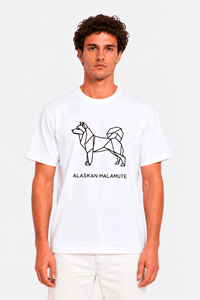 T-shirt Uomo Origami